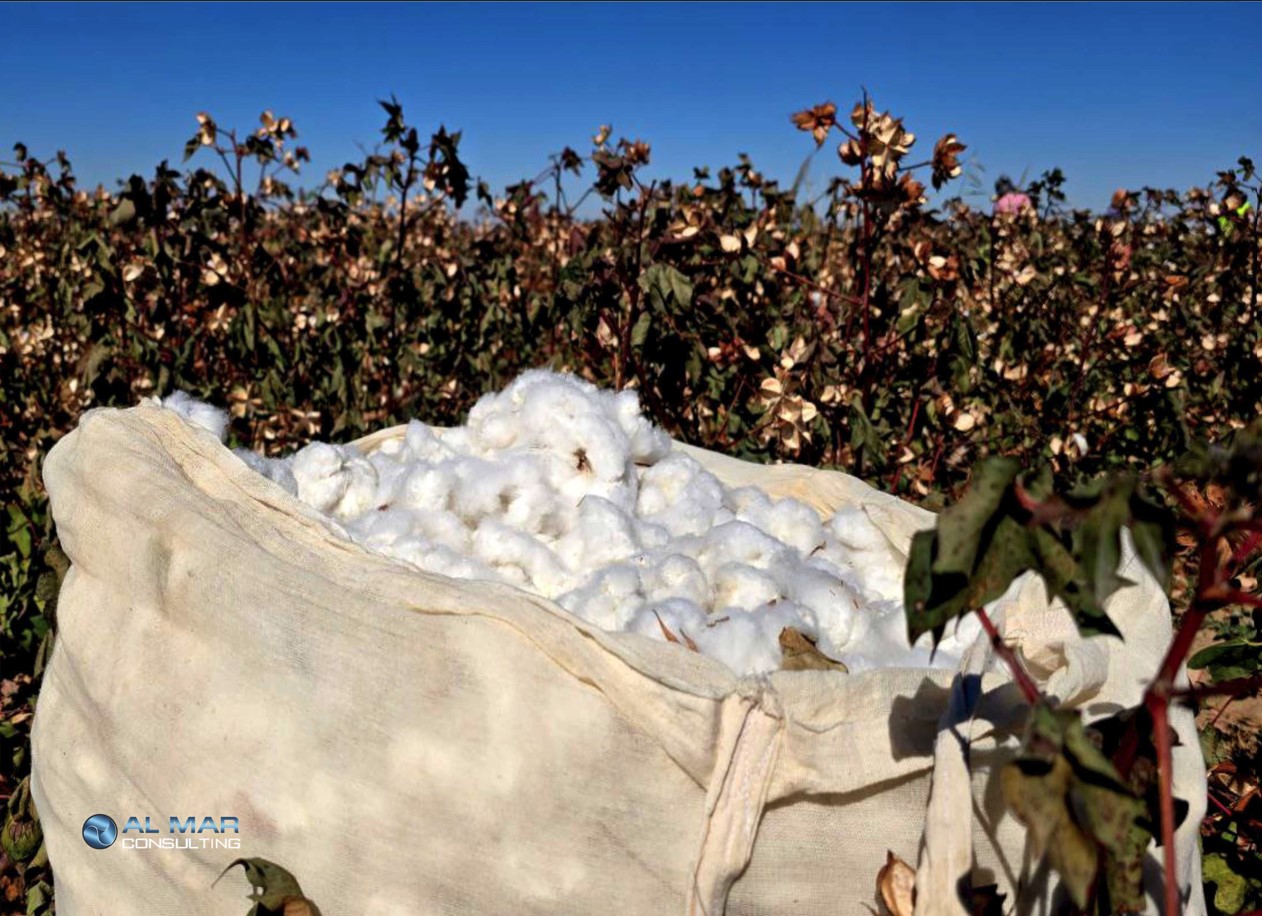 Проведение комплексной проверки партнеров Better Cotton